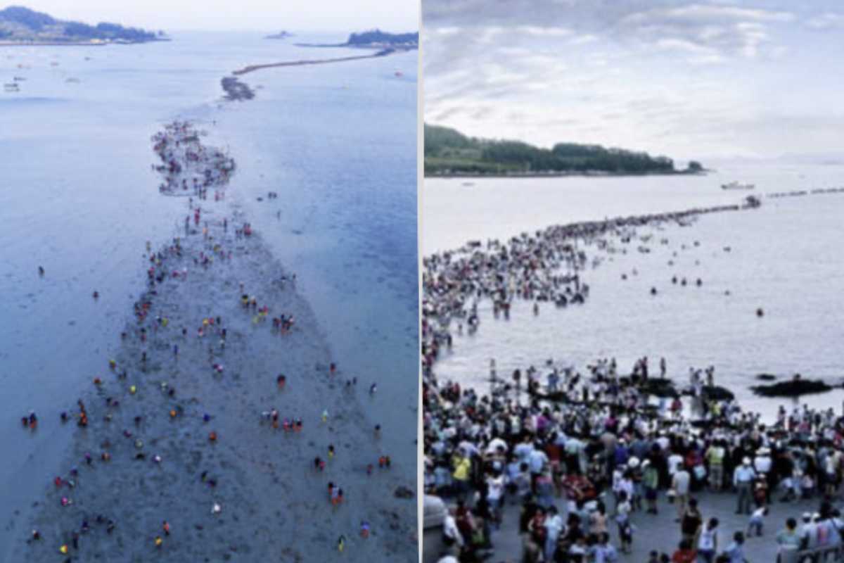 Il Jindo Sea Parting Festival anima il piccolo villaggio costiero con cerimonie in onore degli antenati, spettacoli di pungmul,
