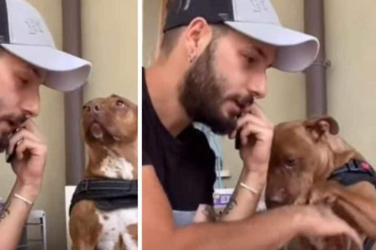 “Voglio portarlo al canile, mi ha stufato”: finge la telefonata